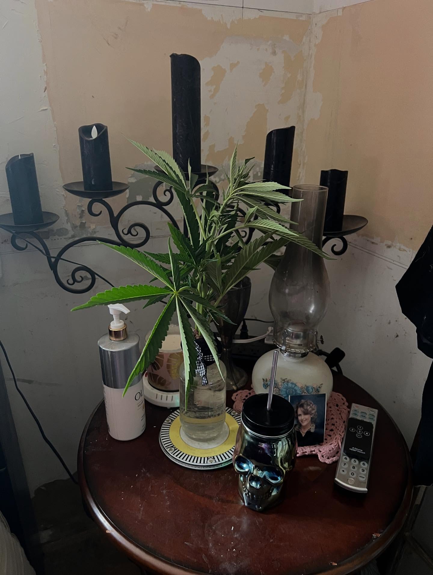 Decorating the Dungeon