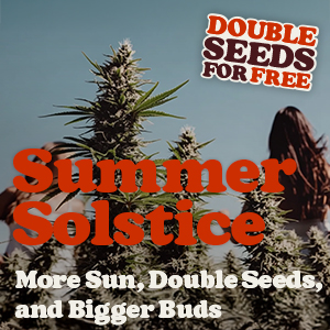 Summer Solstice Sale!