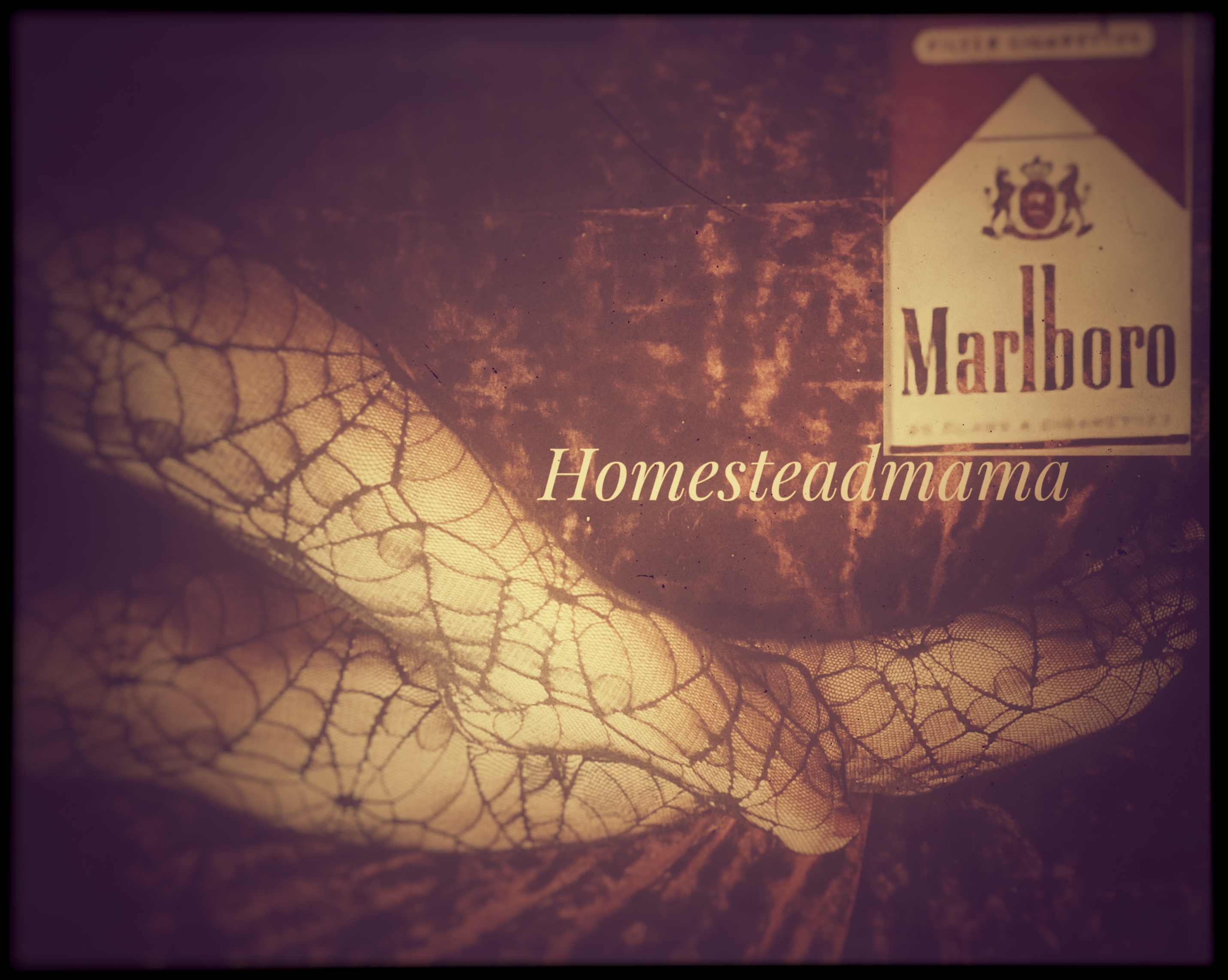 Our 1st Year in Adult Content